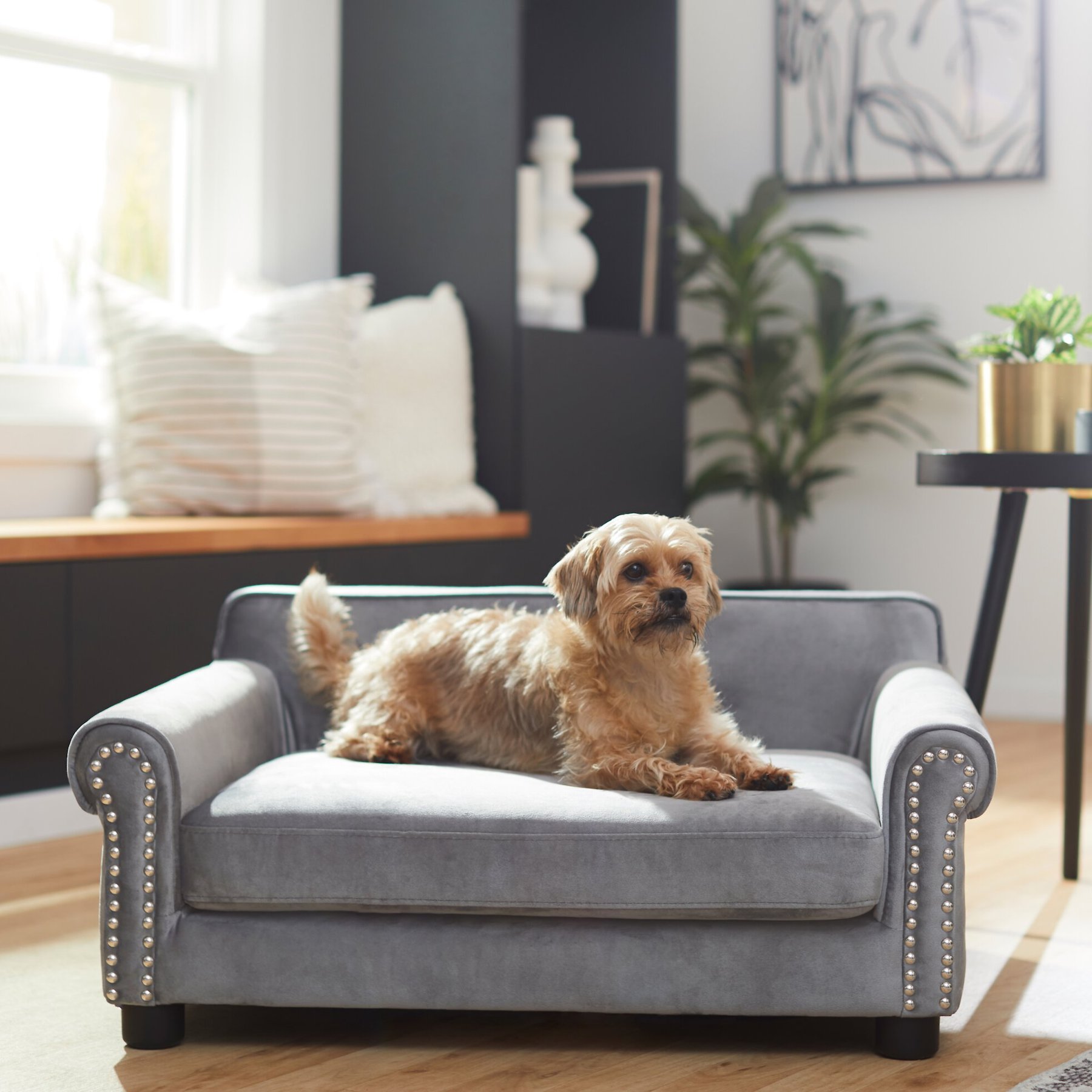 Couch with dog bed best sale