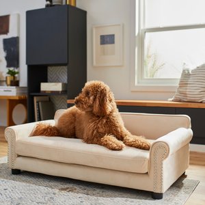Frisco Sofa Pet Bed with Removable Cover, Beige, Large