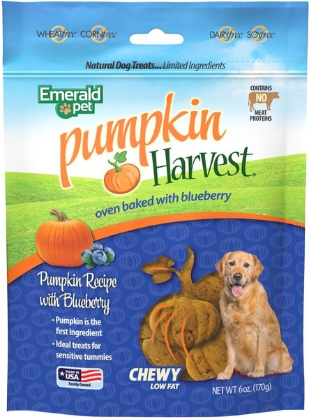 Emerald Pet Pumpkin Harvest Oven Baked Pumpkin Recipe with Blueberry Chewy Dog Treats, 6-oz bag slide 1 of 8