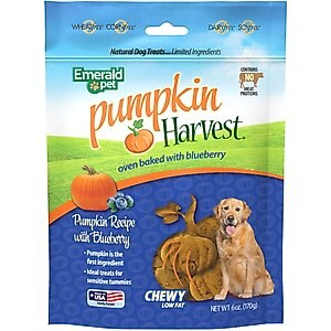 Emerald Pet Pumpkin Harvest Oven Baked Pumpkin Recipe with Blueberry Chewy Dog Treats, 6-oz bag
