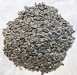 Prairie Melody Pesticide Free Premium Black Oil Sunflower Bird Food, 2.75-lb bag, case of 4 slide 2 of 6
