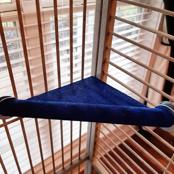 Polly's Pet Products Lazy Bird Perch slide 1 of 3