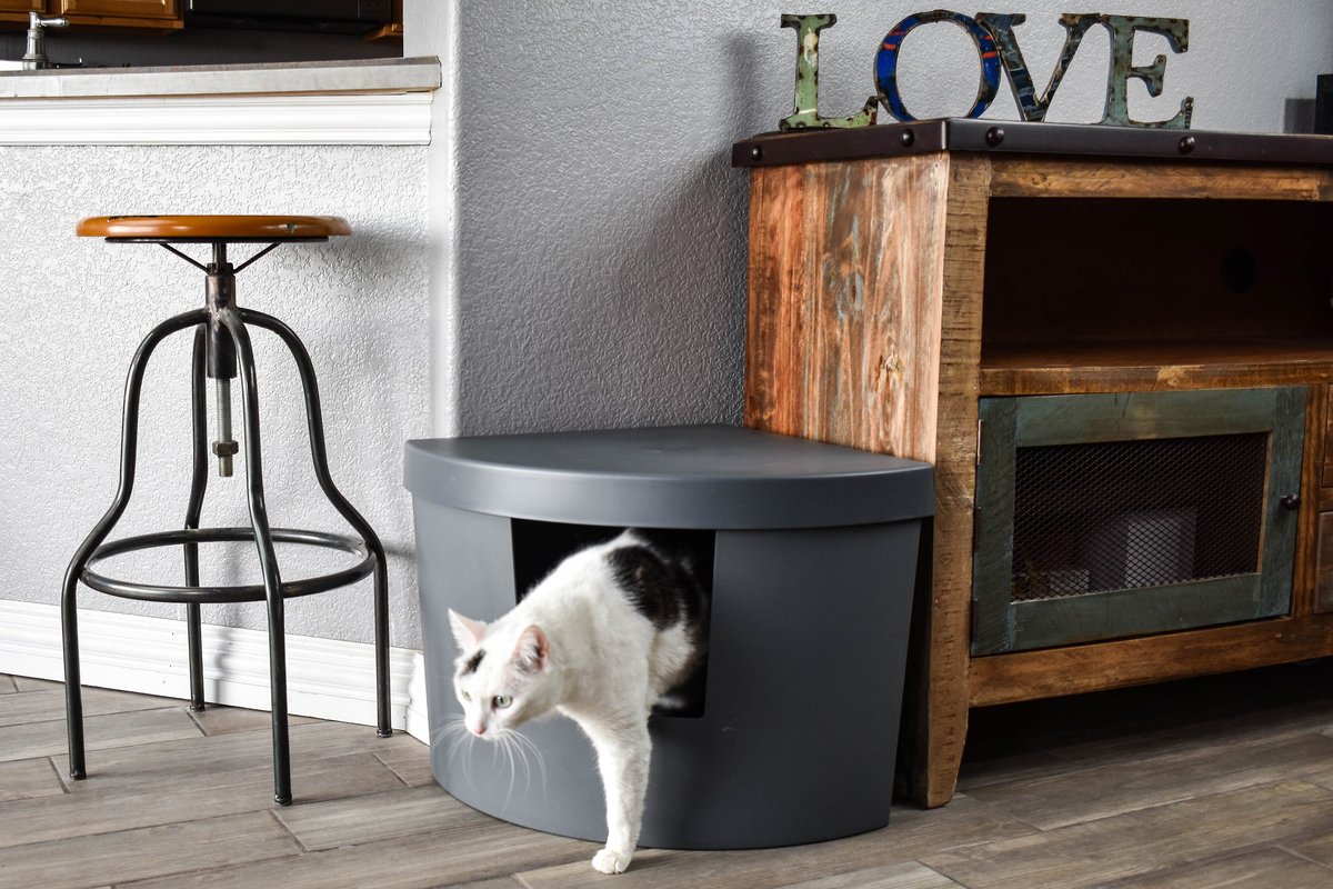 25 Best Litter Boxes for Cats that Kick Litter - Lindsey Blogs