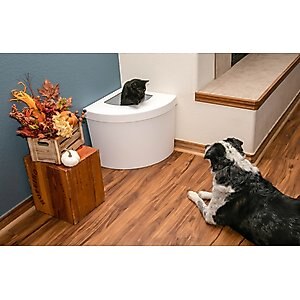Kitangle Top Entry Cat Litter Box, Large, White