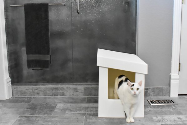 Kitangle Slope Style Cat Litter Box, X-Large, White slide 1 of 7