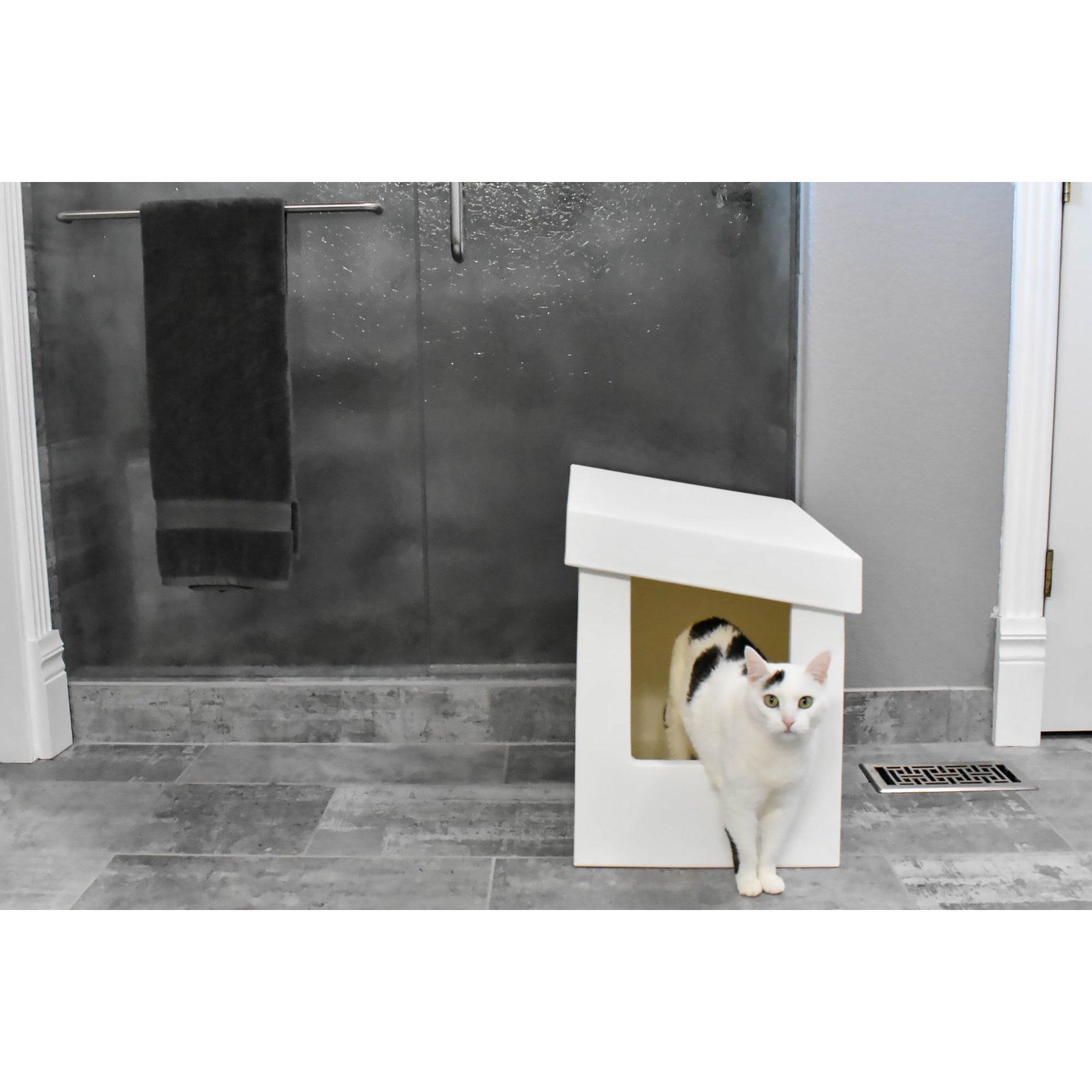 Kitangle shop litter box