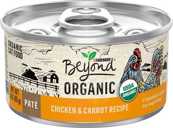 Organic cat food hotsell