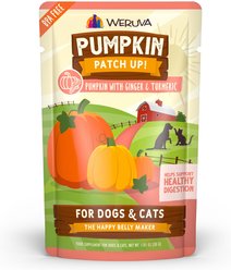 Weruva Pumpkin Patch Up! Pumpkin with Ginger & Turmeric Dog & Cat Wet Food Supplement, 1.05-oz pouch, case of 12