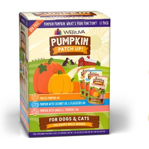 Best Budget Pumpkin Supplement for Dogs