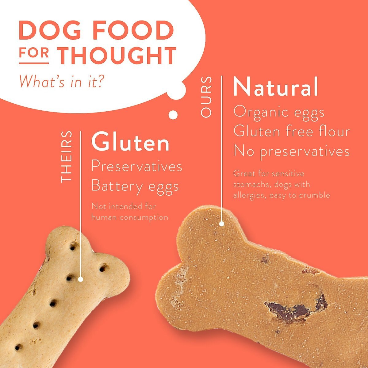 PORTLAND PET FOOD COMPANY Bacon Biscuits GrainFree & GlutenFree Dog