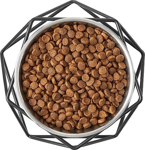 Frisco Elevated Stainless Steel Dog & Cat Bowl with Metal Stand, Small: 1.5 cup, 1 count