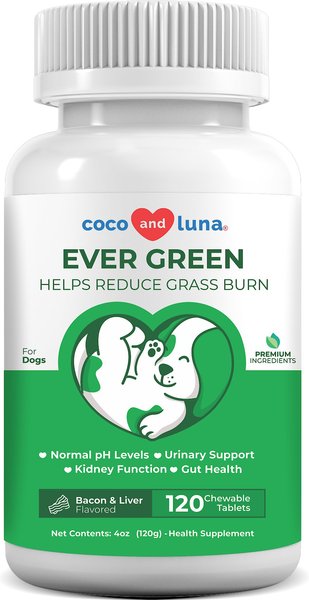 Coco and Luna Ever Green No Grass Burn Bacon & Liver Flavor Chewable Tablets Dog Supplement, 120 count slide 1 of 8