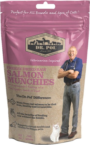 Dr. Pol Salmon Munchies Grain-Free Freeze-Dried Raw Cat Treats, 3.5-oz Bag