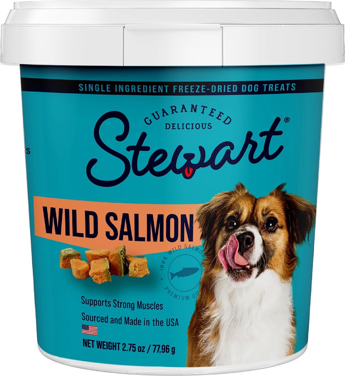 Salmon dog outlet treats