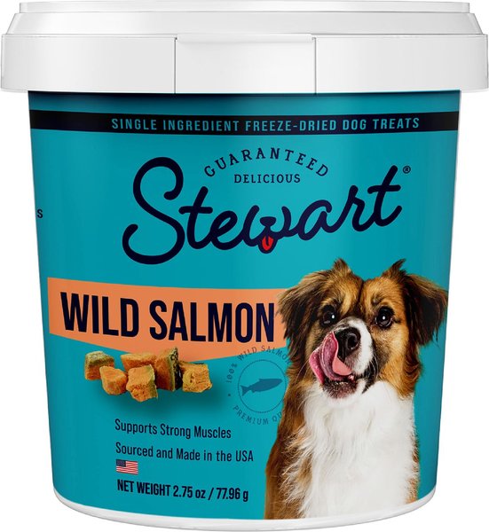 Stewart Wild Salmon Freeze-Dried Dog Treats, 2.75-oz tub slide 1 of 8