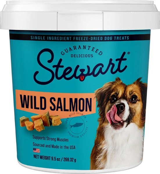 Stewart Wild Salmon Freeze-Dried Dog Treats, 9.5-oz tub slide 1 of 7
