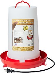 Farm Innovators Heated All-Season Poultry Fount, 3-gal