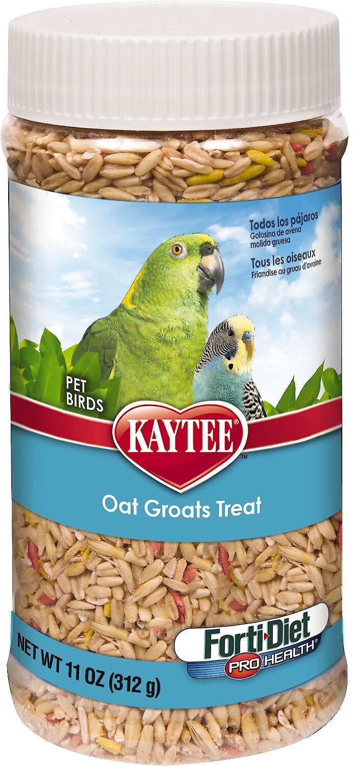 kaytee oat groats