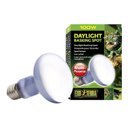 Exo Terra Daylight Basking Reptile Spot Lamp, 100-w bulb