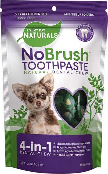 Every Day Naturals NoBrush Toothpaste X-Small Dog Treats, 3-oz bag slide 1 of 7