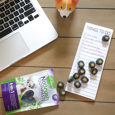 Show full view: Every Day Naturals NoBrush Toothpaste X-Small Dog Treats, 3-oz bag slide 8 of 8