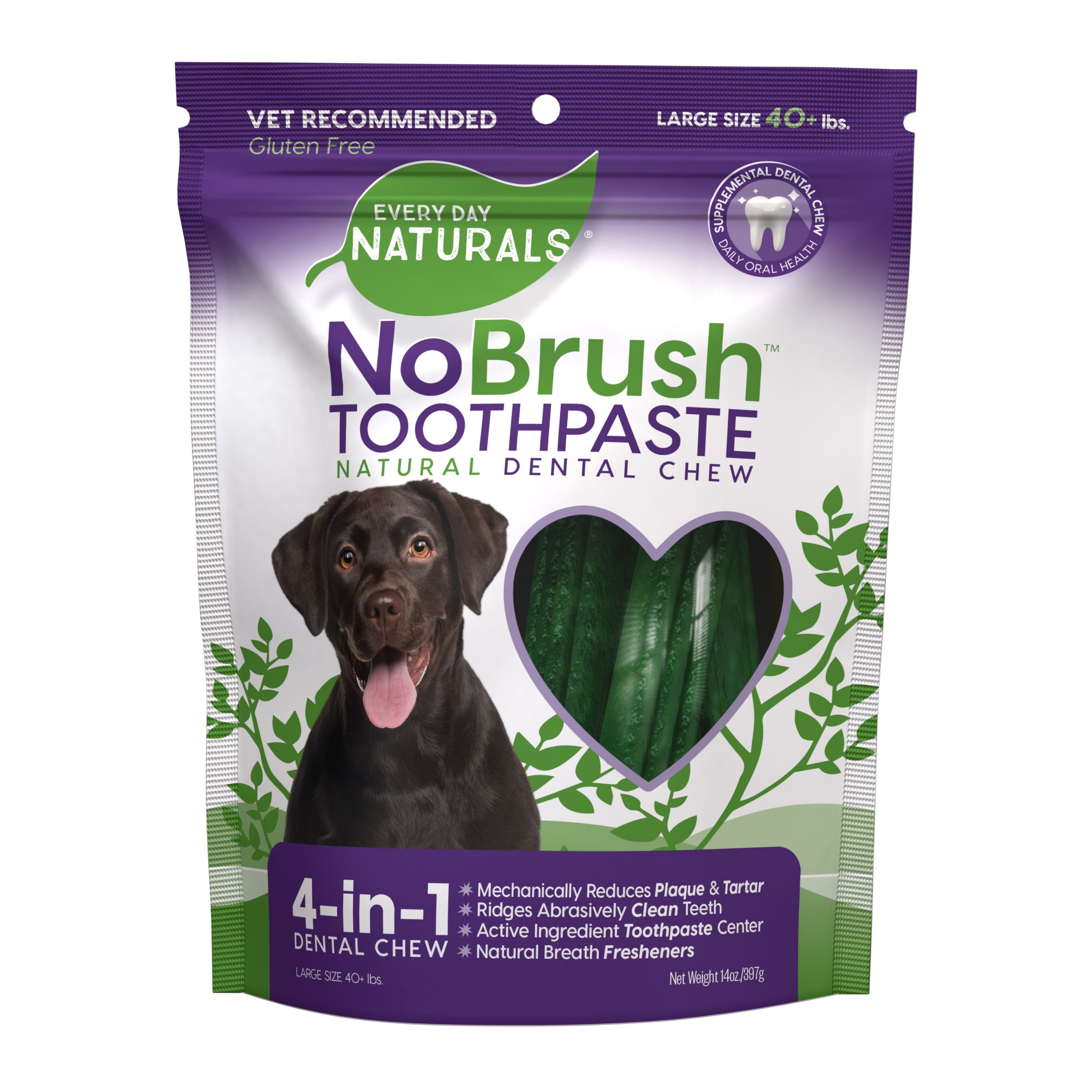 EVERY DAY NATURALS NoBrush Toothpaste Large Dog Treats, 14oz bag