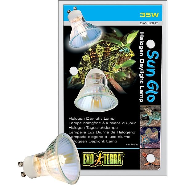 EXO TERRA Sun Glo Halogen Daylight Reptile Lamp, 35w bulb, 3 count