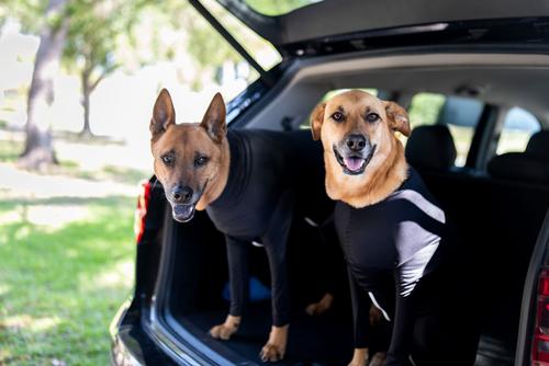 Show full view: Shed Defender Sport Dog Onesie, Black, Giant slide 7 of 9