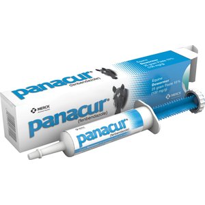 Panacur Equine Paste 10% Horse Dewormer, 25g, 2 count