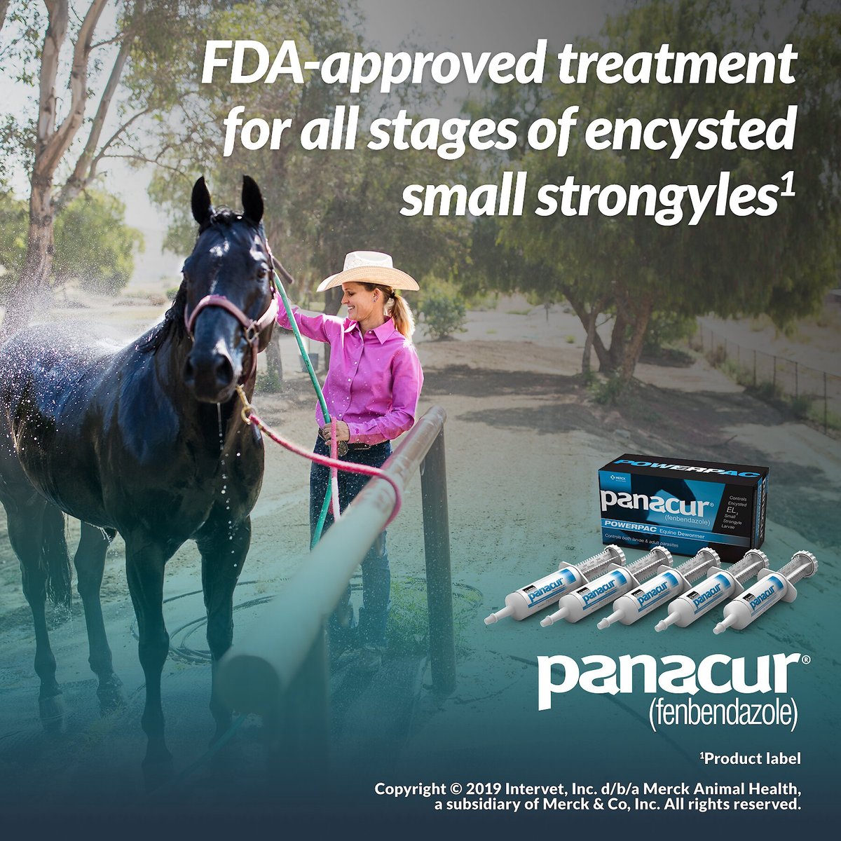 PANACUR Powerpac Equine Paste 10 Horse Dewormer, 10 count