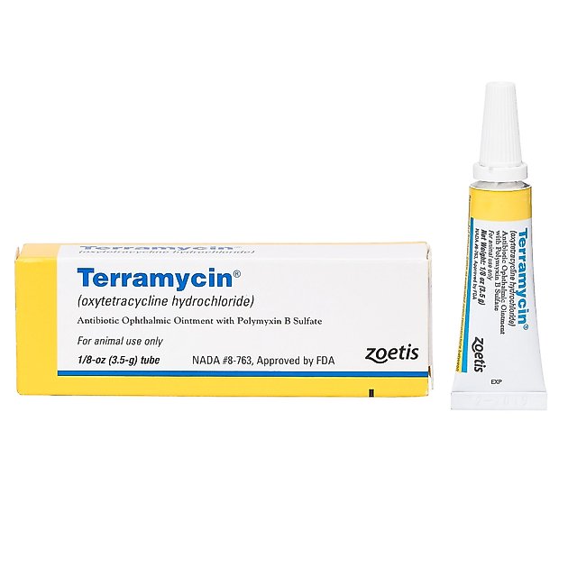 Terramycin Ophthalmic Ointment For Dogs Cats Horses 3 5 G 2 Count Chewy Com Terramycin Ophthalmic Ointment For Dogs Cats Horses 3 5 G 2 Count Chewy Com