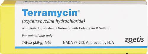 Show full view: Terramycin Ophthalmic Ointment for Dogs, Cats & Horses, 3.5-g, 2 count slide 2 of 6