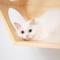 Show in main carousel: MyZoo BusyCat Wall Mounted Cat Shelf slide 5 of 8