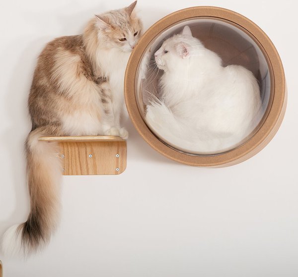 MyZoo Lack Round Wooden Wall Mounted Cat Shelves, 2 count