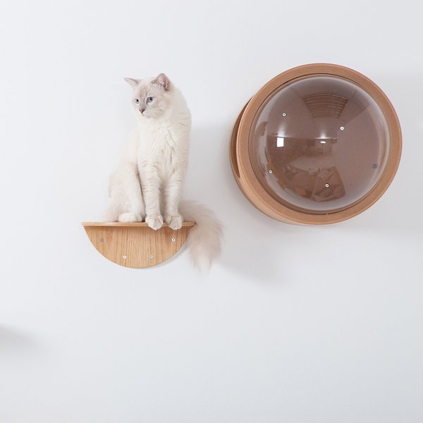 MyZoo Lack Round Wooden Wall Mounted Cat Shelves, 2 count slide 1 of 8
