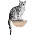 MyZoo Lack Round Clear Wall Mounted Cat Shelf