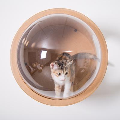 Show full view: MyZoo Spaceship Gamma Wall Mounted Cat Wall Shelf, Oak, Left-Open slide 6 of 8