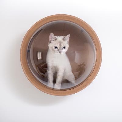 Show full view: MyZoo Spaceship Gamma Wall Mounted Cat Wall Shelf, Walnut, Left-Open slide 7 of 9