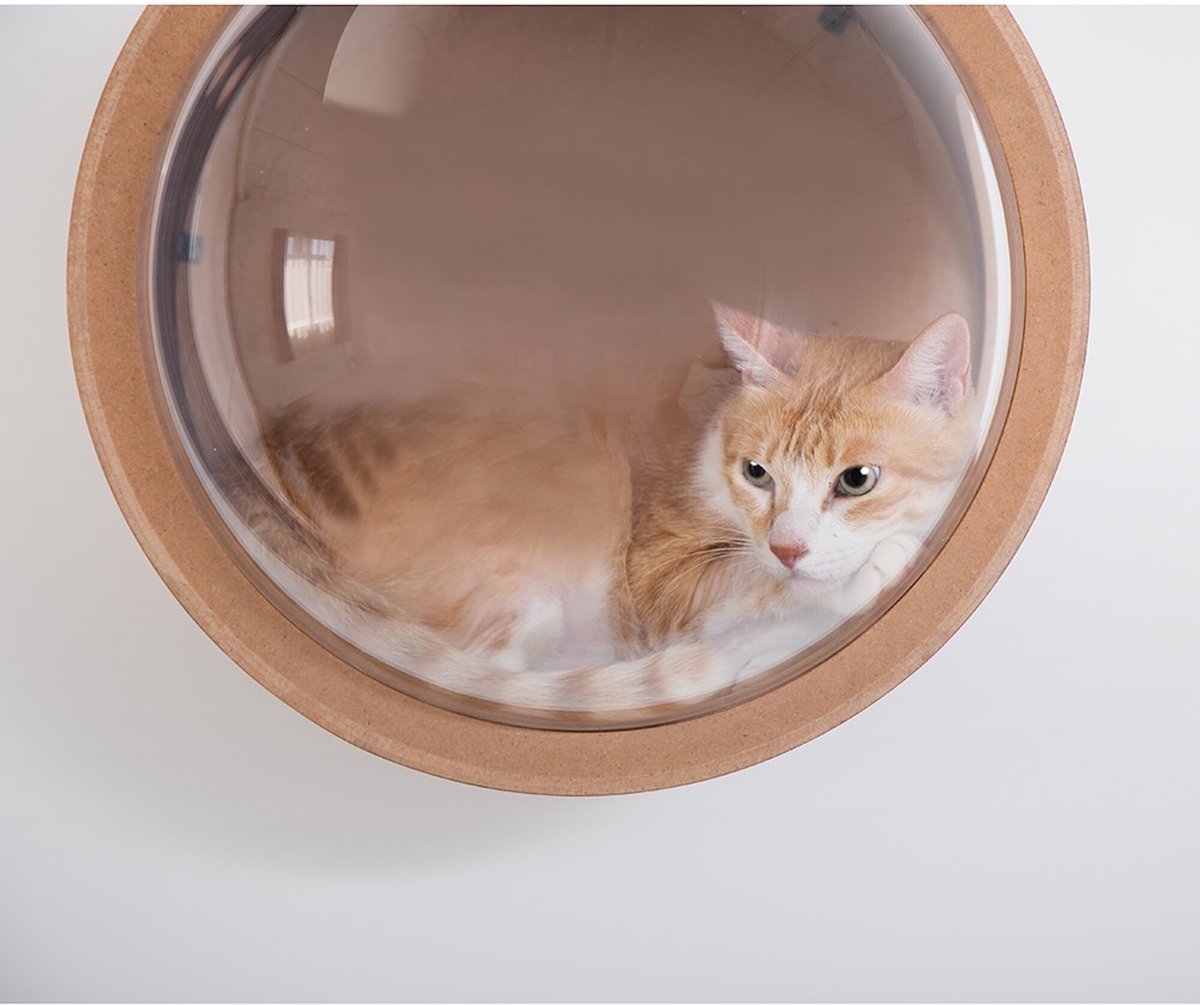 Myzoo spaceship 2024 cat bed