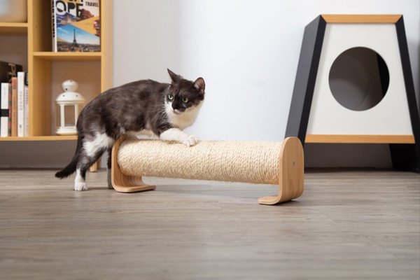 MyZoo Cylinder 20.5-in Sisal Cat Scratching Post