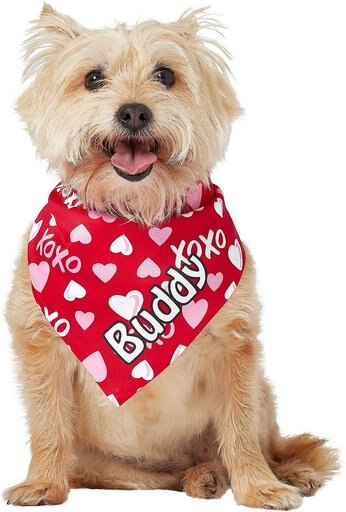 Frisco XOXO Hearts Personalized Dog & Cat Bandana, Small