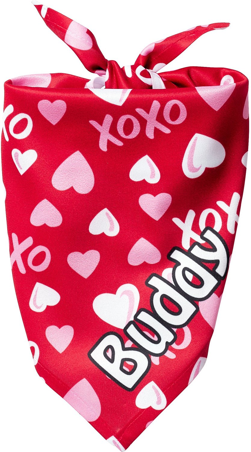 Frisco XOXO Hearts Personalized Dog & Cat Bandana