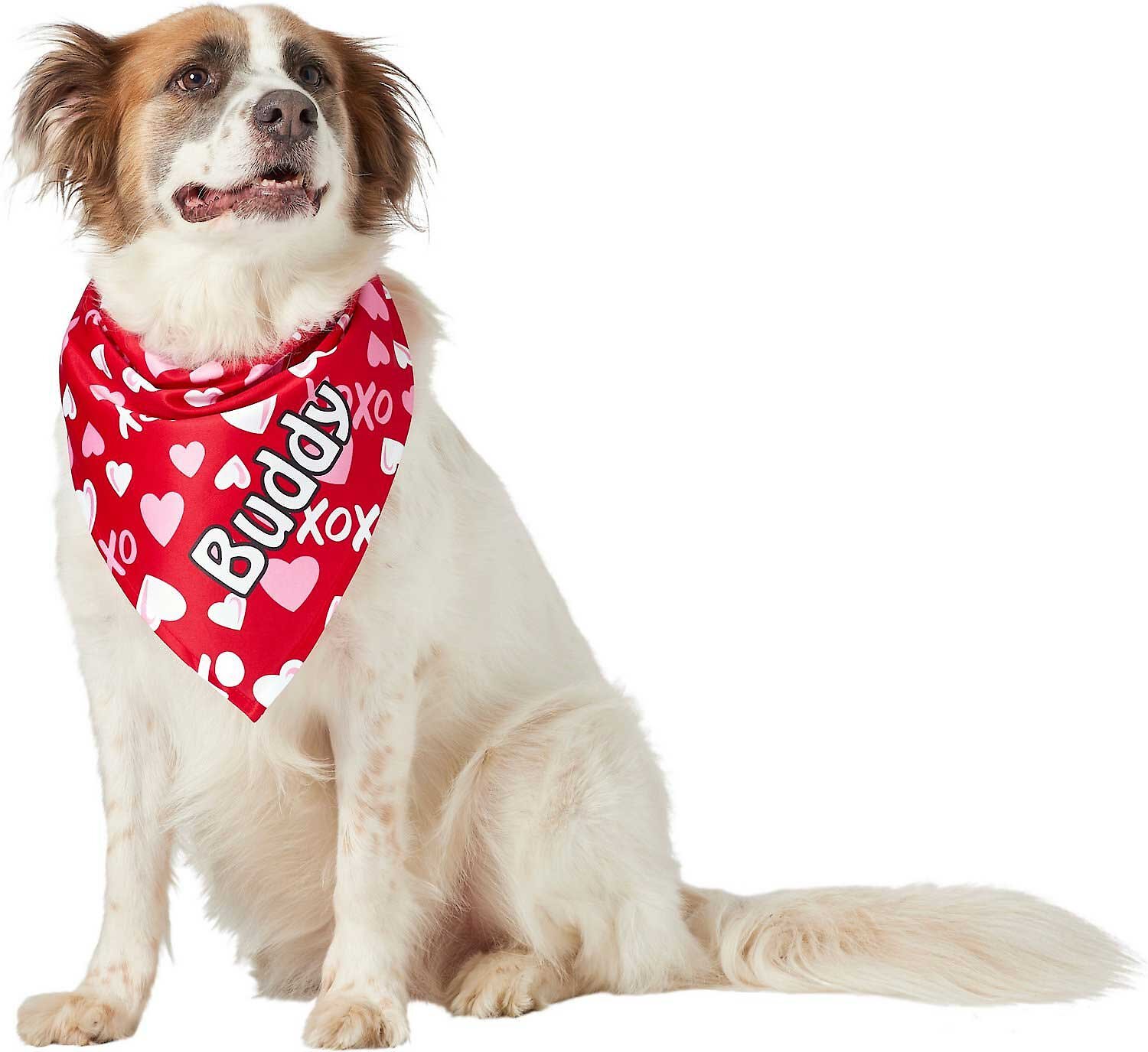 Frisco XOXO Dog & Cat Bandana, One Size