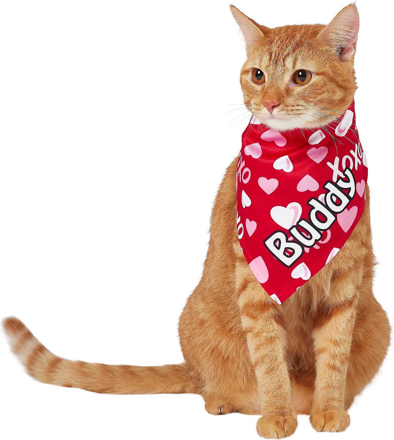 Top Performance Heartfelt Dog & Cat Bandana
