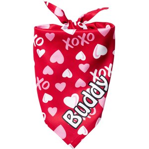 Frisco Personalized XOXO Hearts Dog & Cat Bandana, Large