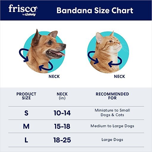 Frisco Easter Bunny Personalized Dog & Cat Bandana, Small