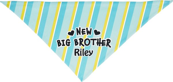 Frisco Big Brother Dog & Cat Bandana