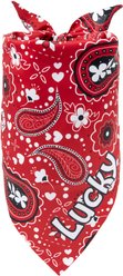Frisco Paisley Printed Personalized Dog & Cat Bandana, Red, Small