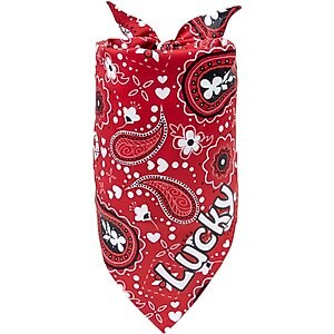 Frisco Paisley Printed Personalized Dog & Cat Bandana, Red, Small