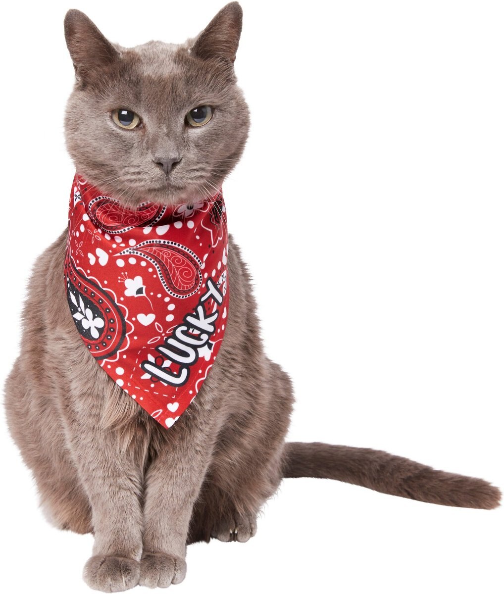 Frisco Red Paisley Dog & Cat Bandana